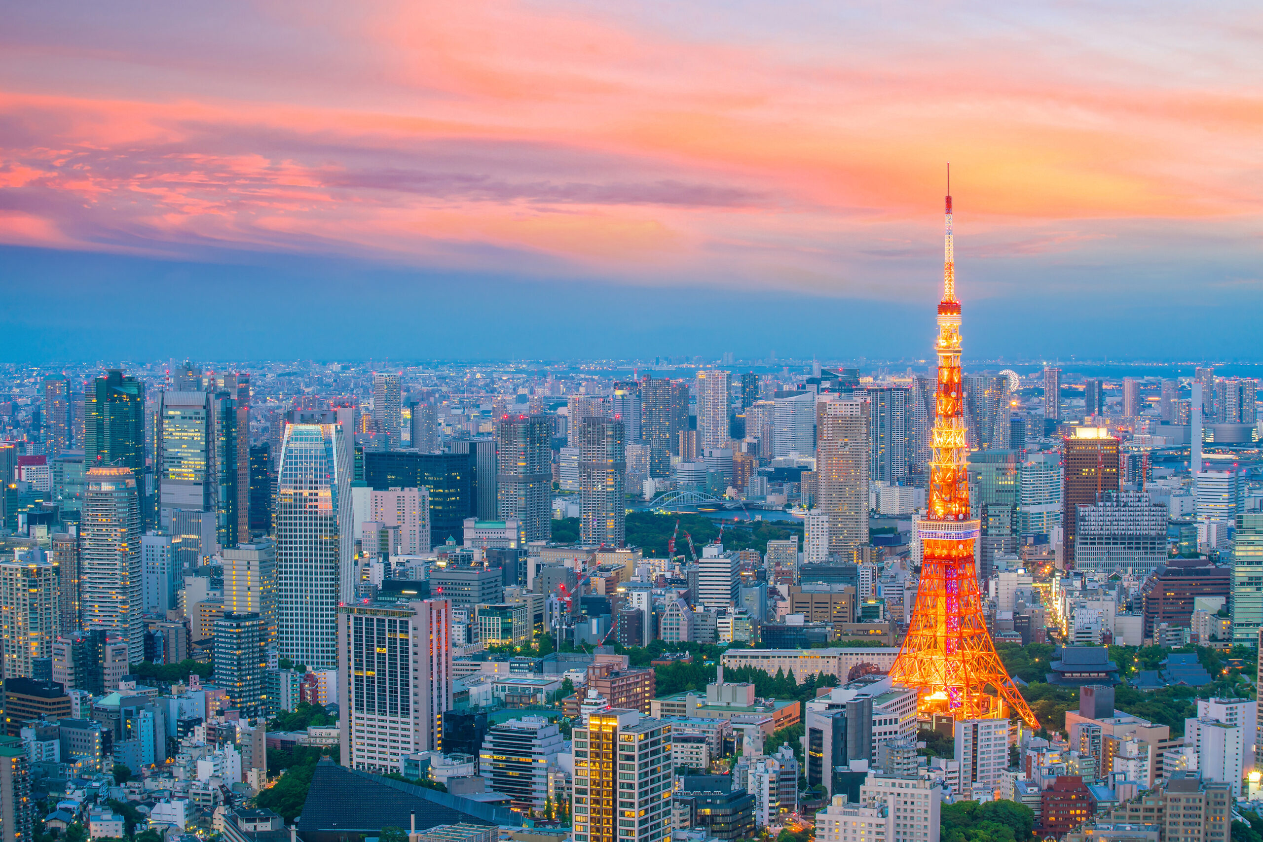 Tokyo skyline  with Tokyo Tower at twilight in Japan